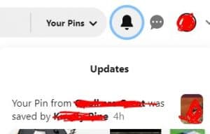 Pinterest saved pin 2